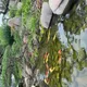 辉姐头像