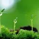 玉儿头像