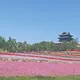 乐了头像