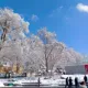 恩典满溢头像