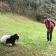 谢姐头像