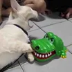 飞哥头像