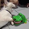 飞哥头像