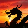 龙少头像