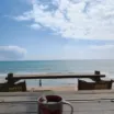 大欣头像