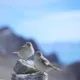 138****3527头像