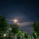月上无风头像