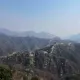 幸福女人欣欣向荣头像