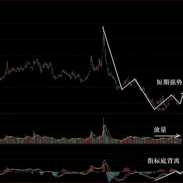无惧扰动vs老乡别走！配图2