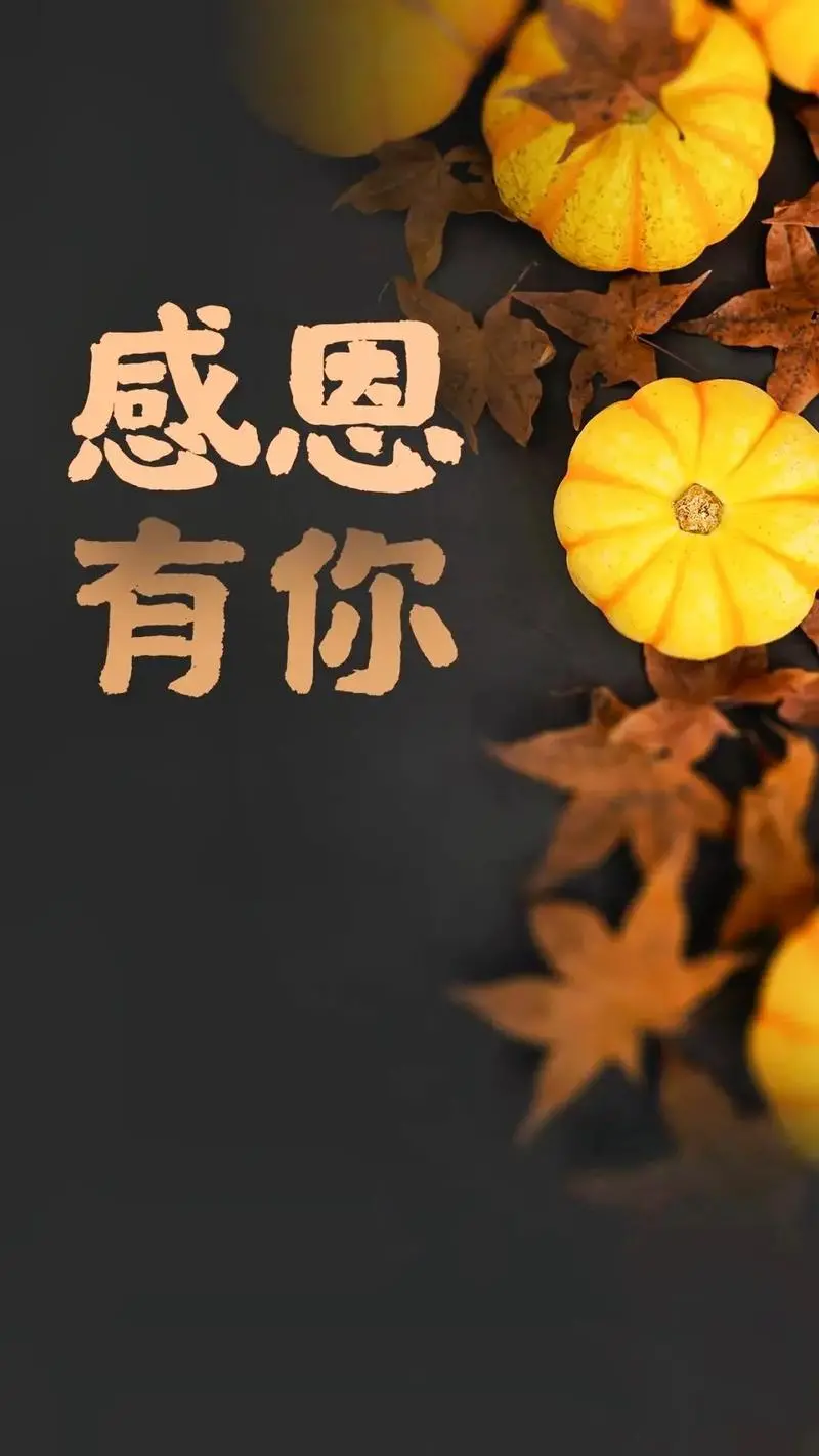 节日快乐！感恩相随！文章配图